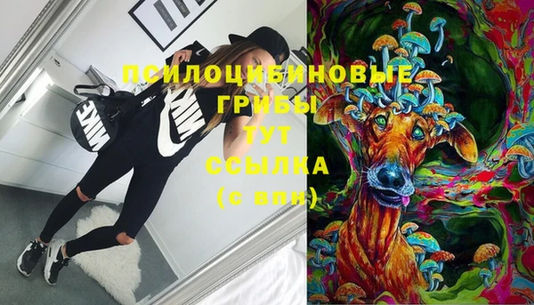 мдма Няндома