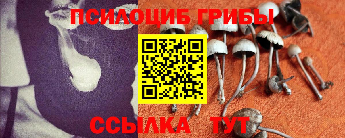 Галлюциногенные грибы мицелий  Вход с VPN  Галлюциногенные грибы мухоморы  Конаково 